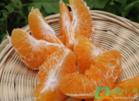 耙耙柑能放冰箱冷藏吗2