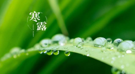 2021年寒露到冷时候了吗2
