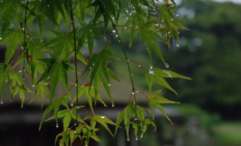 2021年梅雨季一定会持续阴雨吗2