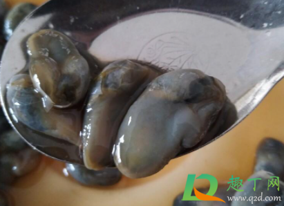 泥螺能吃吗2