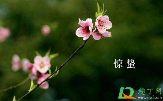 2021惊蛰对应一天中的几点2
