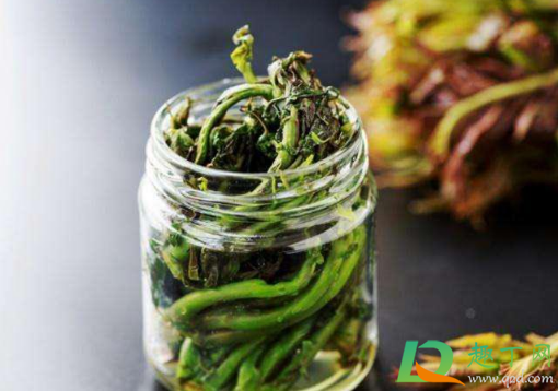 腌香椿用什么容器好2