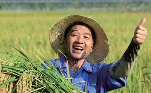 户主死亡怎么变更粮补2