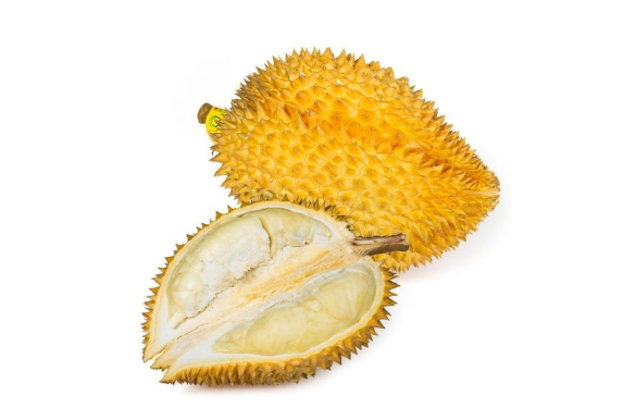 榴莲没有香味是不是没熟2
