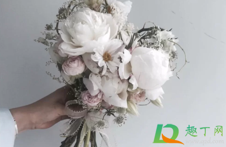 女生抢到手捧花意味着什么2