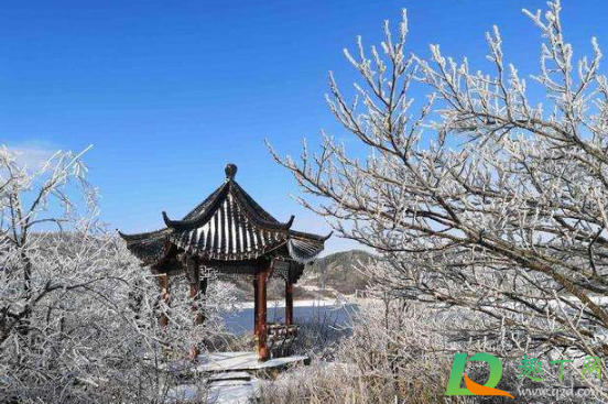 2020入冬是什么时候2