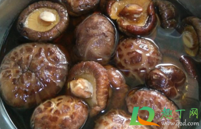 香菇多长时间泡发2