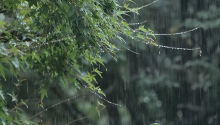 梅雨期每天都下雨吗2