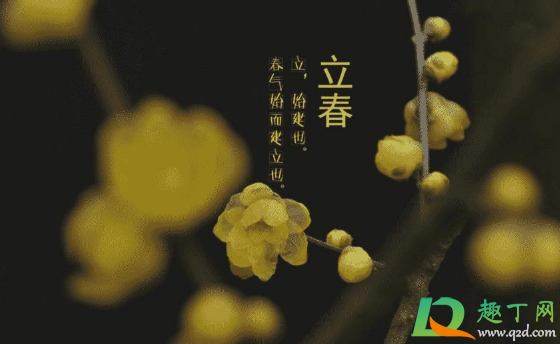 2021年打春是五九尾还是六九头2
