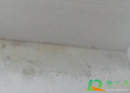 回南天墙面潮湿发霉开裂怎么办2