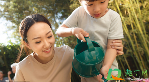 营养液喷叶和浇土哪个好2