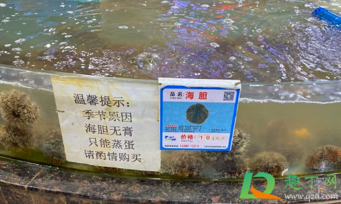 海胆蒸蛋里面有海胆吗2