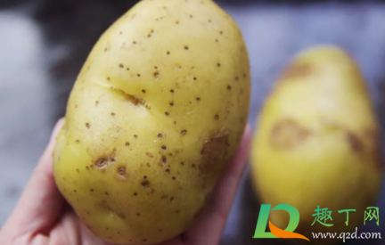 土豆里面发紫色还能吃吗2