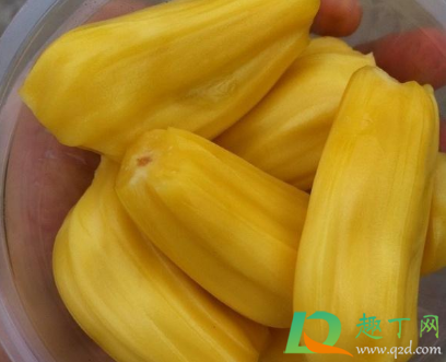 菠萝蜜没熟切开后还能催熟吗2