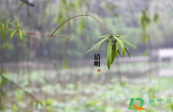 2021年清明节天气好不好2