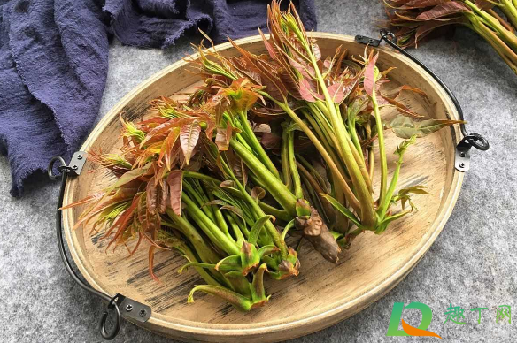 香椿怎么去除亚硝酸盐2