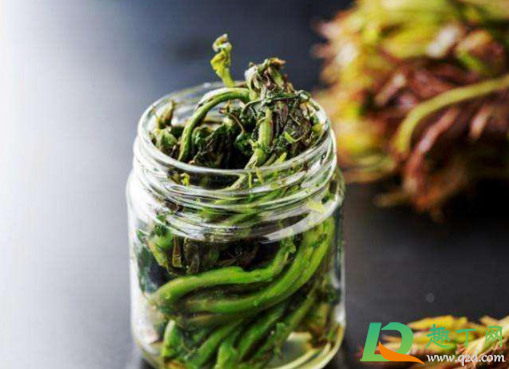 香椿腌好收藏还是新鲜收藏好3