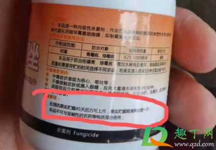泡药沃柑怎么回事3