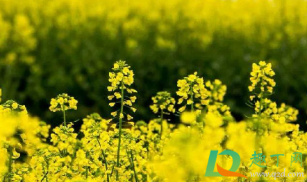 2021清明节天气还冷吗3