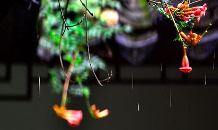 梅雨期每天都下雨吗3