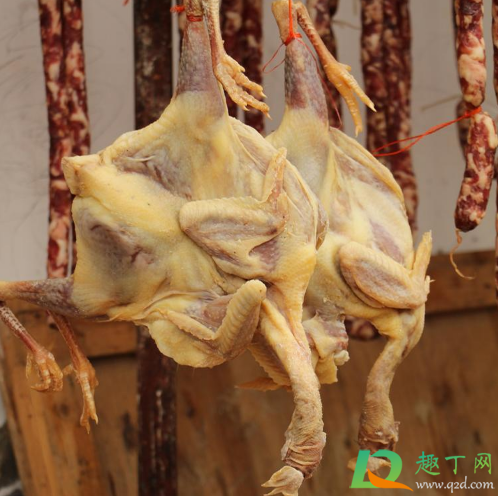 腊鸡被猫咪偷吃还可以食用吗3
