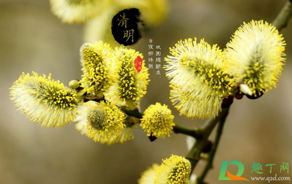 清明节晴天有什么说法3