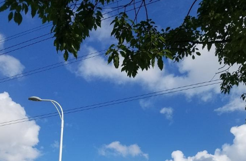 武汉为什么还不热20213