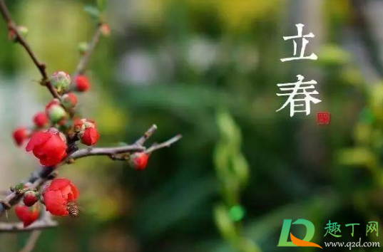 躲春的时候能看手机和电视吗3