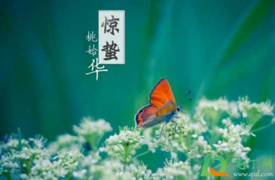 惊蛰为什么会打雷3