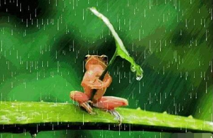 2022年南方冬天下雨冷吗3