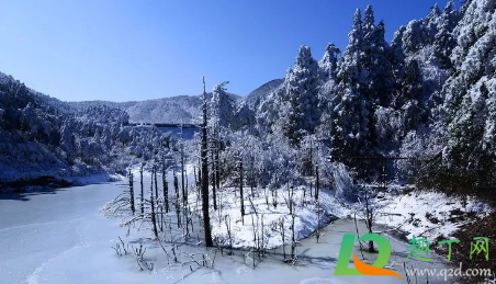 2021咸宁九宫山滑雪场什么时候开3