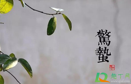 惊蛰前上新坟还是惊蛰后上新坟3