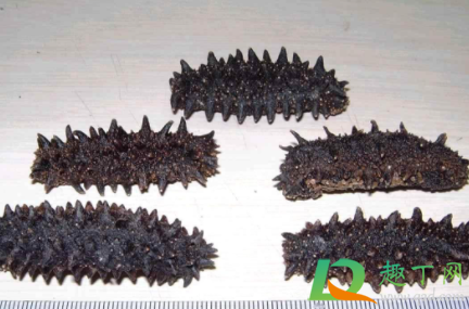 糖干海参到底能不能吃3
