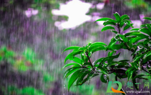 2021年夏至下雨三伏天热吗3