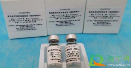 为什么不打康希诺疫苗3