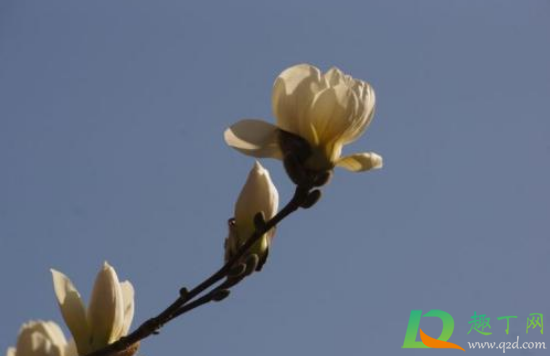 2021清明节调休到哪天上班3