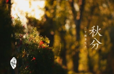 2021年的秋分后有冷空气吗3