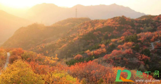 北京香山公园五一开放吗20213