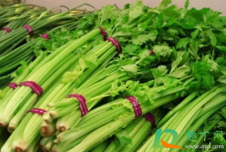 芹菜烂根是什么原因3