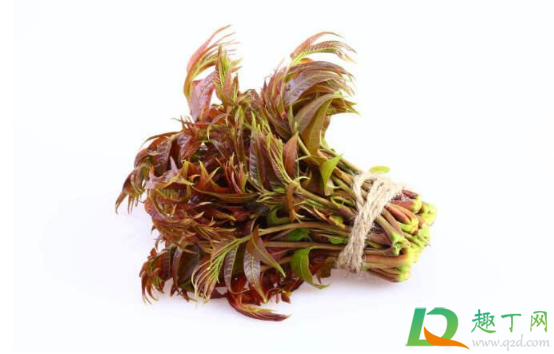 香椿腌着吃还用焯水吗3