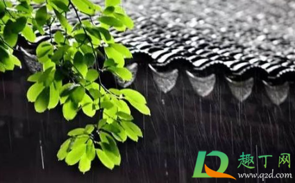 2021梅雨季节怎样防止家里发霉3
