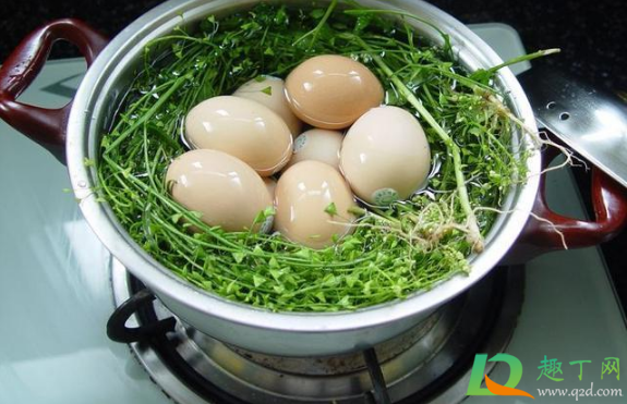 荠菜煮鸡蛋不能和什么一起吃3