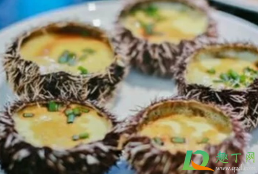 海胆蒸蛋为什么看不见海胆3