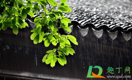 2021年端午节会下雨吗3