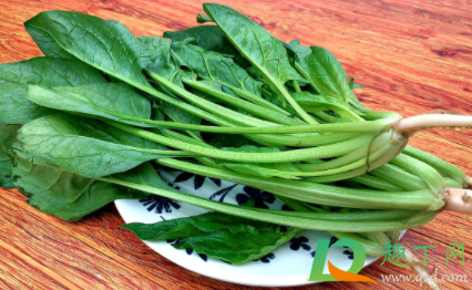 菠菜长花了能不能吃3