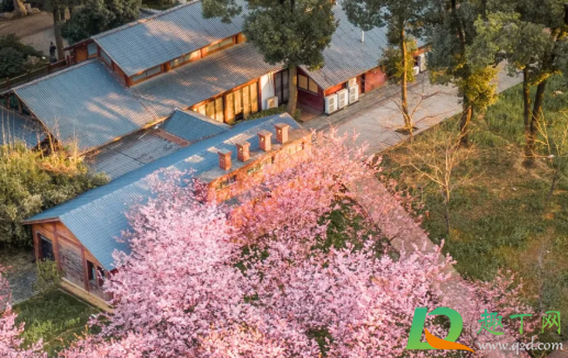 武汉惠民旅游券约满三次还可以再约吗20213