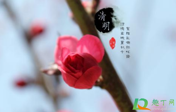 2021年清明节天气好不好3