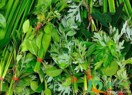 2021端午节门上挂几枝艾草3