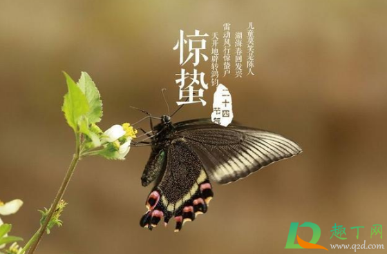 惊蛰是九九最后一天吗3