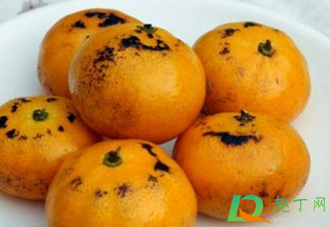 烤橘子治风寒还是风热咳嗽3